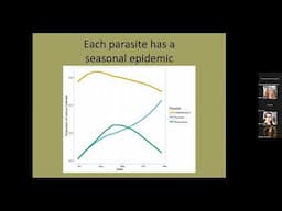 Scaling between within-host microbial interactions and disease epidemics with Dr. Charles Mitchell