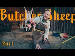 The Art of Home Sheep Butchering | A Beginner’s Step-by-Step Guide (With Tips & Tools)