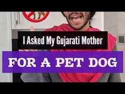 When you ask your Gujarati Mother for a dog 🐕✨🫠