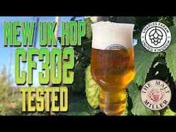 CF302 Experimental UK Hops Tested and Reviewed!