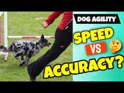 Dog Agility Speed Vs Accuracy..which one first?