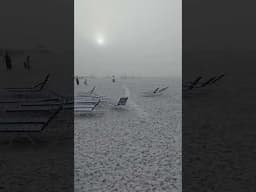 Crazy thick sea fog in Sunny Sarasota Florida last day of 2024