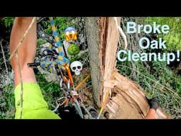 Broke Oak Cleanup! Tree almost hits house, New intro and Kevin tries a Mango for the first time!