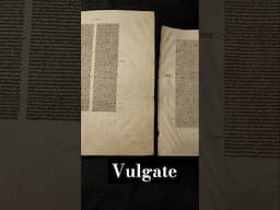 2 MS fragments of the Vulgate. Different sizes