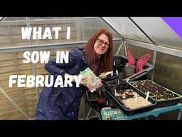 What To Sow In February - Allotment Gardening For Beginners UK