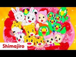 💖 I Love You, Mom 🌹 | Valentine's Day Special Episodes 💌 | Shimajiro for Kids 🐯