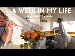 A WEEK IN MY LIFE🧺🚜 | First time mum | living in Somerset England | homely vlogs