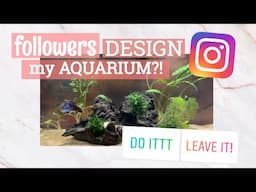 Instagram Followers DESIGN my AQUARIUM! | betta setup | aquascaping |