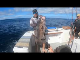 Jigging for BIG FISH (Three Kings Fishing NZ)