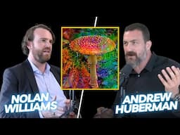 Nolan Williams - "Psychedelics SHOULDN'T be used recreationally"