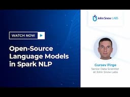 Open-Source Language Models in Spark NLP