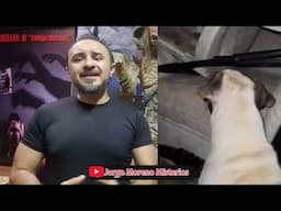 ¿A quien le está gruñendo el perro?