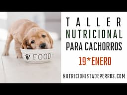 Taller nutricional para cachorros || Inicio 19 de enero 2025