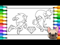 Coloring SONIC vs KNUCKLES [ Master Emerald ]