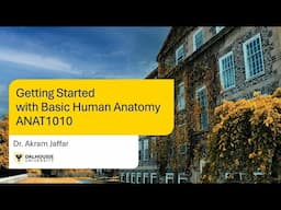 Getting Started with Basic Human Anatomy ANAT1010