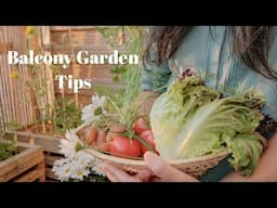 7 Tips to Create a Simple Balcony Garden on a Budget