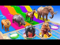 Learn Wild Animals Plays In Swimming Pool Inflatable Toys For Kids - Learn Animals Names & Sounds