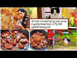 ന്യൂയോർക്കിലെ വീട്ടിൽ എത്തിയപ്പോൾ  കണ്ട മനസ്സ് വിഷമിപ്പിച്ച ഒരു   കാഴ്ച / CHICKEN TIKKA MASALA /VLOG