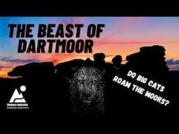 The Beast of Dartmoor | Big Cats In Britain ? | A Story From Bellever Forest Dartmoor