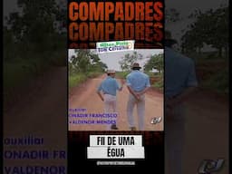 FII DE UMA ÉGUA - NILTON PINTO E TOM CARVALHO #comedia #humor #piadas #standup #piadacurta #risos