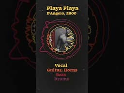 Visualizing Voodoo: Playa Playa #dangelo