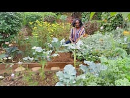 A Tour Of A Beautiful Vegetable Garden.@loyceakwii1492