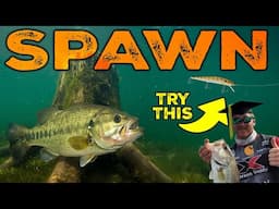 Pre-Spawn Bass Fishing Secrets! TRIGGER Giant Bites w/ Jerkbaits