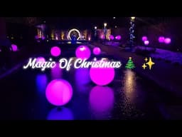 The Magic of Christmas