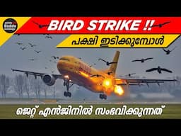 പക്ഷി ഇടിച്ച് വിമാനം തകരുന്നതെങ്ങനെ | Bird Strike Damage on Jet Engine Explained | Ajith Buddy