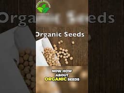 Why Organic Seeds Are Better for Your Garden