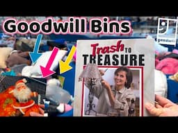 Turning TRASH into CASH | This Book SAYS IT ALL!!! THRIFTING at the Goodwill Bins for RESELL