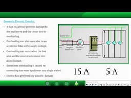 Magnetic Effects of Electric Current-Domestic Electric Circuits