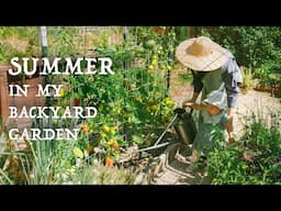 Summer days in my backyard garden｜Behind Scenes of My productive garden