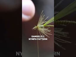 Skinny Damsel stillwater trout fly #flyfishing #flytying #troutfishing