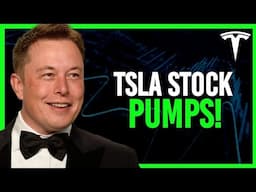 What Can Pump Tesla's Stock Price to $300 this Year?