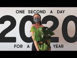 one second a day for a year 2020! | simplymaci