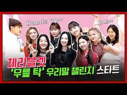 [언더퀴즈](ENG SUB)ep.25 '무릎을 탁 치고 (Hands Up)-체리블렛(Cherry Bullet)' 우리말 퀴즈 앞에서 무릎을 탁 치게 만드는 7인7색 체리블렛~