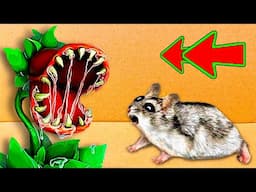 🐹 ESCAPE the Hamster Maze of DOOM!😱