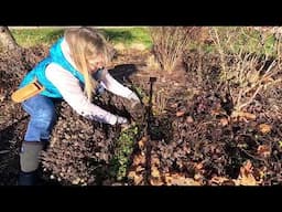 End of December Clean Up in the Front Garden. 🌻🍂🌳