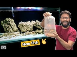 Unboxing 15 African Cichlid | New Fish | Malawi Cichlid