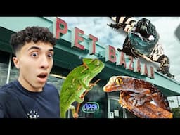 I went to this AWESOME Reptile Store in FLORIDA!! (Florida Series EP.1)