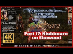 Neverwinter Nights Enhanced Edition Tyrants of the Moonsea Part 17