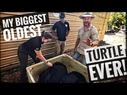 Unboxing Incredible Turtles from Zoo Miami!