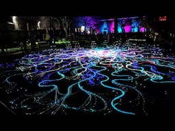 2025 SPECTRA Festival of Light in Aberdeen - Mycelium Network by Stevie Thompson in St Nicholas Kirk