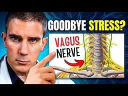 Do You Suffer from Stress? Here's What You Need to Know About the Vagus Nerve