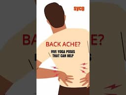 Yoga for Back Pain: Simple Stretches  #yogaforbackpain #backpainrelief #yoga #sivanandayoga