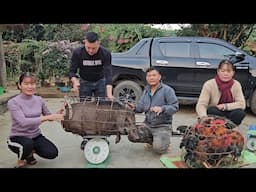 Rich people buy wild boar meat at high prices. Poor farmers cannot afford chicken meat. ( Ep 326 )