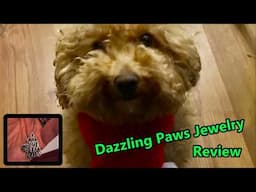 Dazzling Paws Jewelry Review - Pet Product Reviews Vol. 7