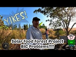 Thailand Farm Gone Wild! | Winter Season Solar Farm Update | MTGA 2024