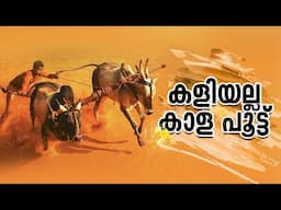 കന്നിനെ പോറ്റുന്നത് ചില്ലറ കളിയല്ല | കേരളത്തിൽ കാളപൂട്ടു മത്സരങ്ങളെ കുറിച്ച് എന്തറിയാം.